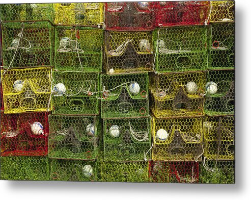 Animal Themes Metal Print featuring the photograph Stacks of colorful lobster/crab traps by Timothy Hearsum