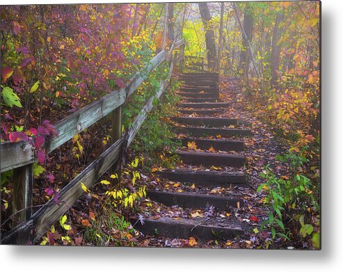 Stairway Metal Print featuring the photograph Stairway to Autumn by Darren White