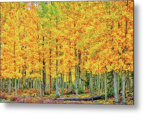 Foliage Metal Print featuring the photograph Stand of Aspens-Digital Art by Steve Templeton