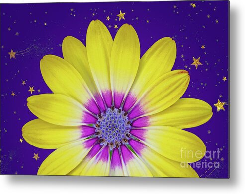Flower Metal Print featuring the photograph Starry Flower by Mimi Ditchie