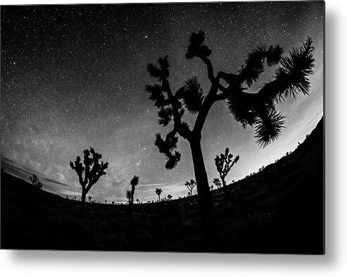Joshua Metal Print featuring the photograph Starry Sky over Joshua Tree Joshua Tree California Black and White by Toby McGuire