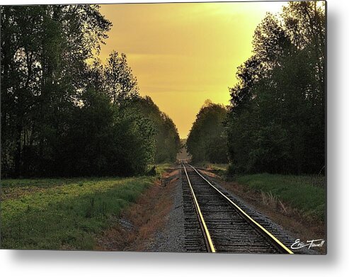 Railroad Metal Print featuring the photograph Still Ain't Heard The News by Eric Towell