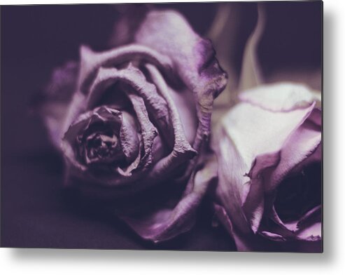 Flowers Metal Print featuring the photograph Still Life 2 by Anamar Pictures