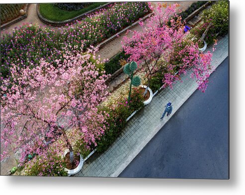 Awesome Metal Print featuring the photograph Street Spring by Khanh Bui Phu