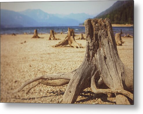Mountain Metal Print featuring the photograph Stump Town by Go and Flow Photos