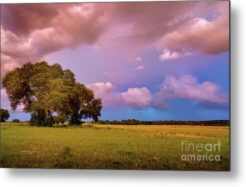 Hay Metal Print featuring the photograph Summer Storm by Marvin Spates