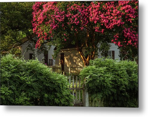 Colonial Williamsburg Metal Print featuring the photograph Summer Sunset in a Garden by Rachel Morrison