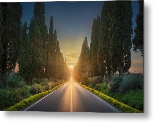 Bolgheri Metal Print featuring the photograph Sun in the Middle in Bolgheri Boulevard by Stefano Orazzini