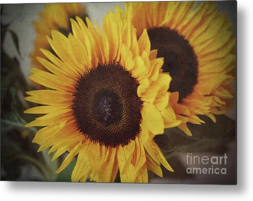 Sunflower Metal Print featuring the photograph Sunflower 2 by Claudia Zahnd-Prezioso