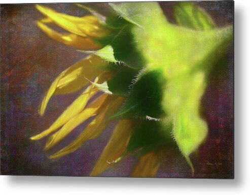 Sunflower On The Side Metal Print featuring the photograph Sunflower On The Side by Bellesouth Studio