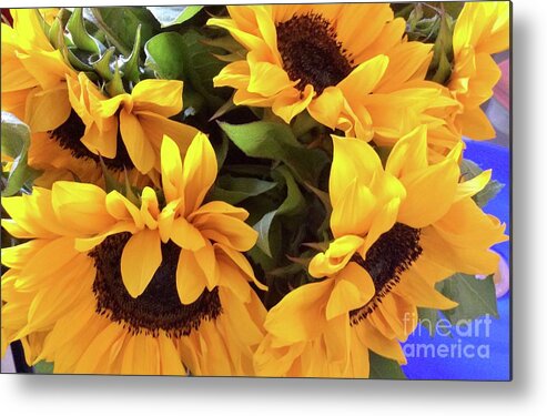 Sunny Metal Print featuring the photograph Sunflower Series 1-2 by J Doyne Miller