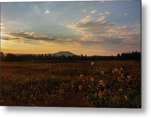 Sunset Metal Print featuring the photograph Incandescence by Laura Putman