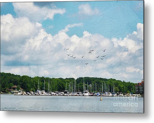 Norman Metal Print featuring the digital art Sunny Marina View Painted by Amy Dundon