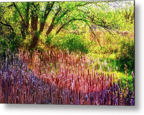Sunny Morning Metal Print featuring the photograph Sunny morning in the park by Tatiana Travelways