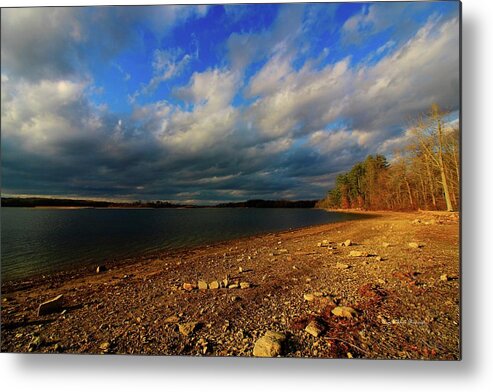 Landscape Metal Print featuring the photograph Sunny Shore by Mary Walchuck