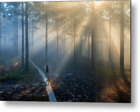 Awesome Metal Print featuring the photograph Sunrays in the pine forest by Khanh Bui Phu