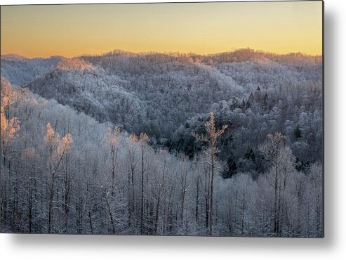 Winter Metal Print featuring the photograph Sunrise in Frost by Cris Ritchie