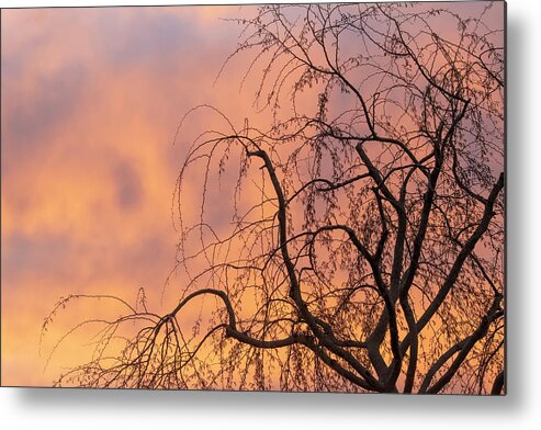 Sunrise Metal Print featuring the photograph Sunrise in Gilbert 0849-021420-1 by Tam Ryan
