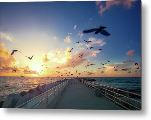 Captain Kimo Metal Print featuring the photograph Sunrise Jupiter Inlet Pigeons Over the Jetty by Kim Seng