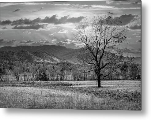 Tree Metal Print featuring the photograph Sunset Clouds in Cades Cove Black and White by Debra and Dave Vanderlaan