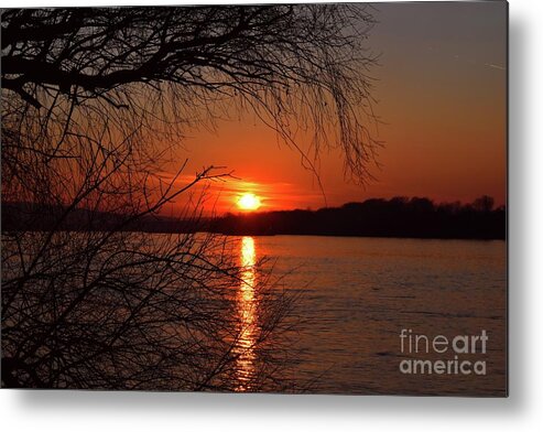 Harmony Metal Print featuring the photograph Sunset in The Embrace of Trees by Leonida Arte