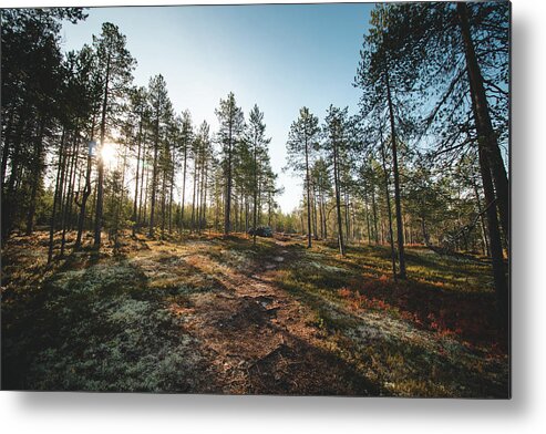 Outside Metal Print featuring the photograph Sunset in the Finnish wilderness by Vaclav Sonnek