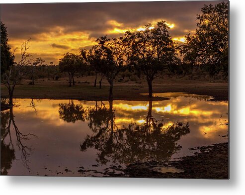 Sunset Metal Print featuring the photograph Sunset in the KNP by MaryJane Sesto