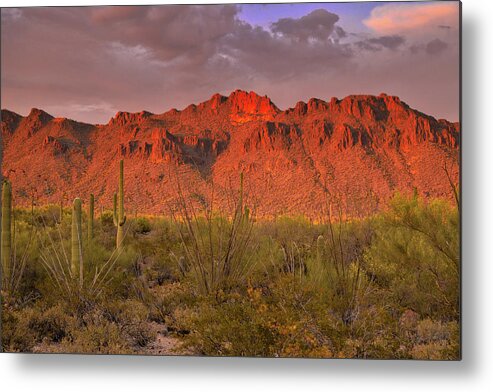 Tucson Metal Print featuring the photograph Sunset light on the Tucson Mountains, Arizona by Chance Kafka