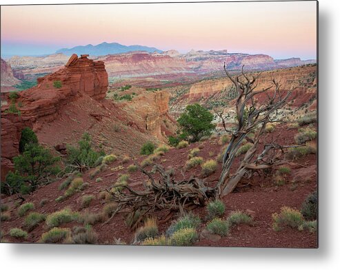 Utah Metal Print featuring the photograph Sunset on Capitol Reef by Aaron Spong