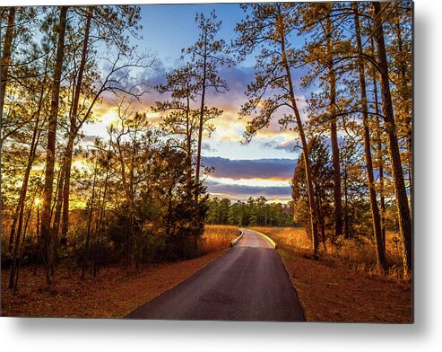 Jamestown Island Metal Print featuring the photograph Sunset on Island Loop Drive - Oil Painting Style by Rachel Morrison