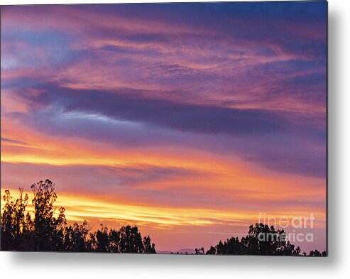 Natanson Metal Print featuring the photograph Sunset Ortiz Mountains 33 by Steven Natanson