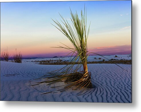 Evening Metal Print featuring the photograph Sunset Sands by Jason Roberts