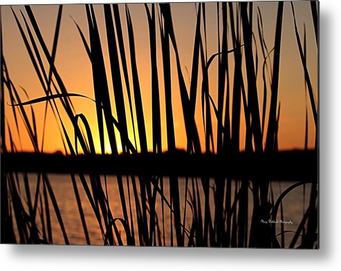 Sunset Metal Print featuring the photograph Sunset Through the Reeds by Mary Walchuck