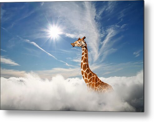 Tranquility Metal Print featuring the photograph Surreal scene with huge giraffe through the clouds. Aerial view, abstract conceptual image. by Anton Petrus