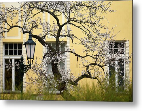 Jenny Rainbow Fine Art Photography Metal Print featuring the photograph Sweet Spring in Prague 4 by Jenny Rainbow