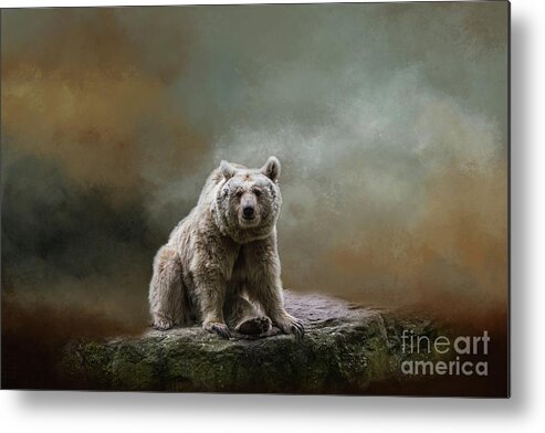 Bear Metal Print featuring the photograph Syrian Brown Bear-4 by Eva Lechner