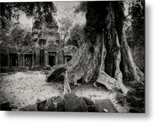 Ta Prohm Metal Print featuring the photograph Ta Prohm Jungle Temple Ruins In Cambodia by Artur Bogacki