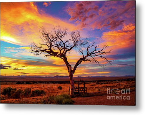Taos Metal Print featuring the photograph Taos Welcome Tree with amazing sunset by Elijah Rael