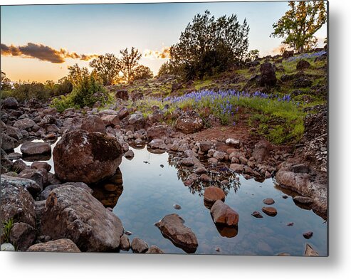 Hiking Metal Print featuring the photograph Tehama Sunset by Mike Lee