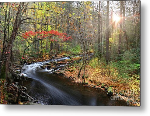 Tellico River Metal Print featuring the photograph Tellico Awakening by Rick Lipscomb