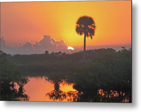 Sunrise Metal Print featuring the photograph Tequila Sunrise by Bradford Martin