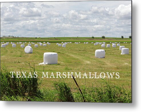 Harvest Metal Print featuring the photograph Texas Marshmallows by Steve Templeton