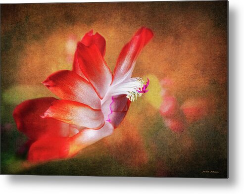 Thanksgiving Flower Metal Print featuring the photograph Thanksgiving Cactus Flower by Michael McKenney