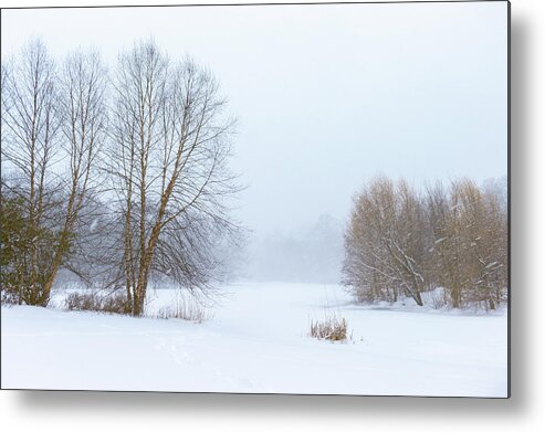 Blizzard Metal Print featuring the photograph The Beginning of a Winter Adventure by Auden Johnson