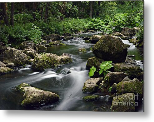 Wasser Metal Print featuring the photograph The Creek by Thomas Schroeder