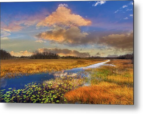 Clouds Metal Print featuring the photograph The Everglades Sunset by Debra and Dave Vanderlaan