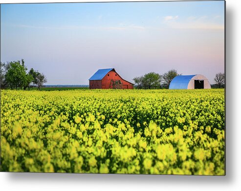 Oklahoma Metal Print featuring the photograph The Farm - Red Barn and Canola Fields in Oklahoma by Southern Plains Photography