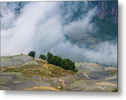 Rice Paddy Metal Print featuring the photograph The fog sea and the terraced fields by Zhouyousifang