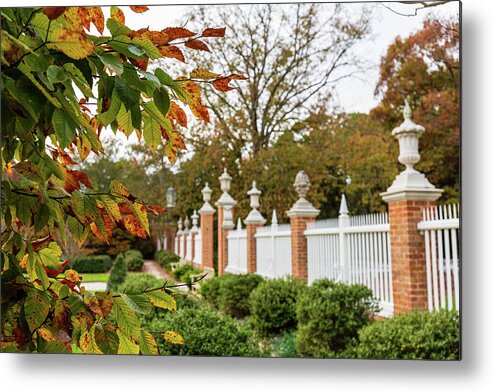 Colonial Williamsburg Metal Print featuring the photograph The Governor's Gardens in Fall by Rachel Morrison
