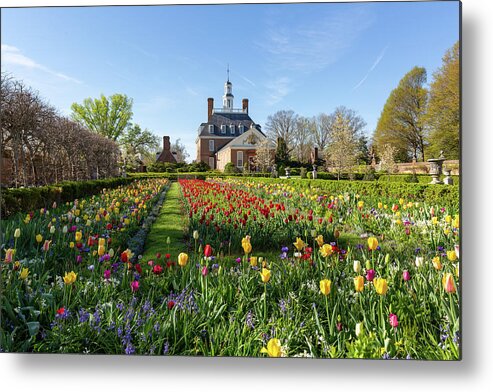 Colonial Williamsburg Metal Print featuring the photograph The Governor's Palace in Spring by Rachel Morrison